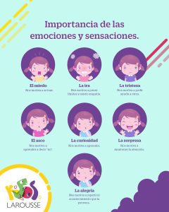 Importancia de las emociones y sensaciones